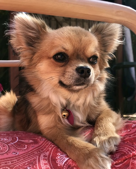 Coco