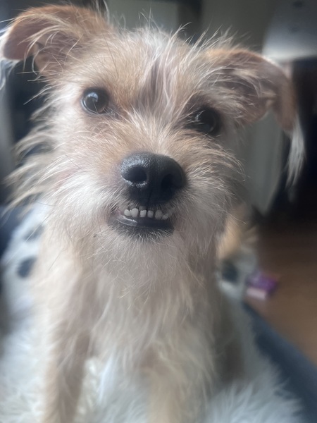 Eddie 