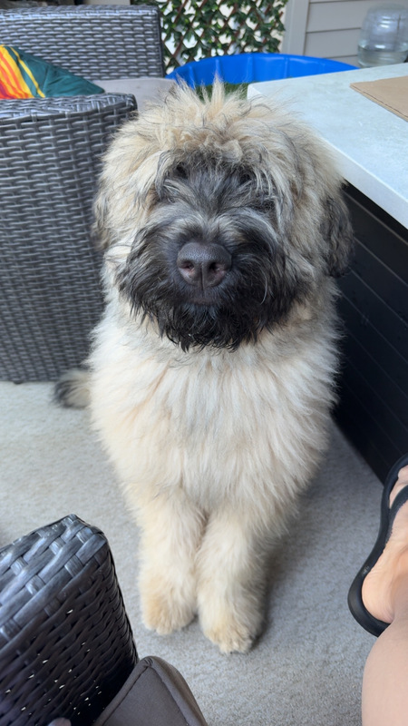 Benny (Benjamin)