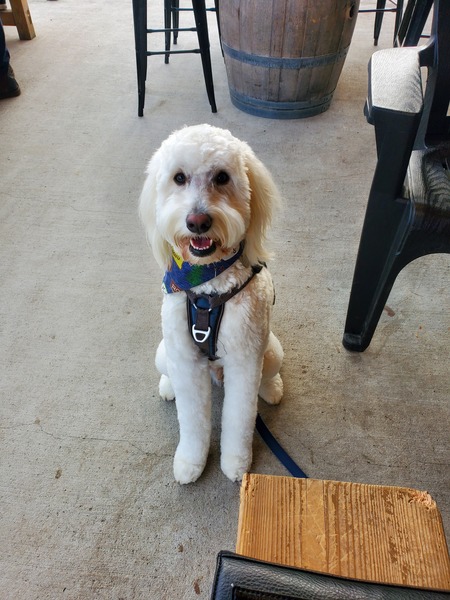 Max