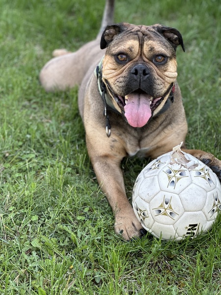 Reggie