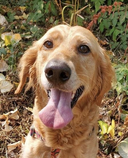 Winnie