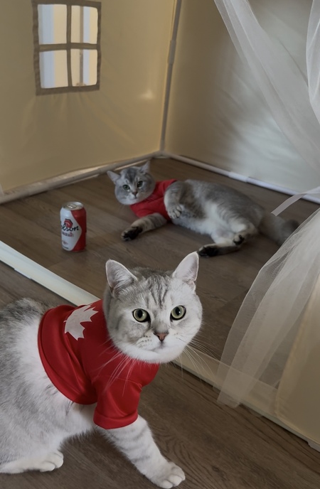 Moonie and Binx 