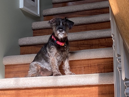 Lola