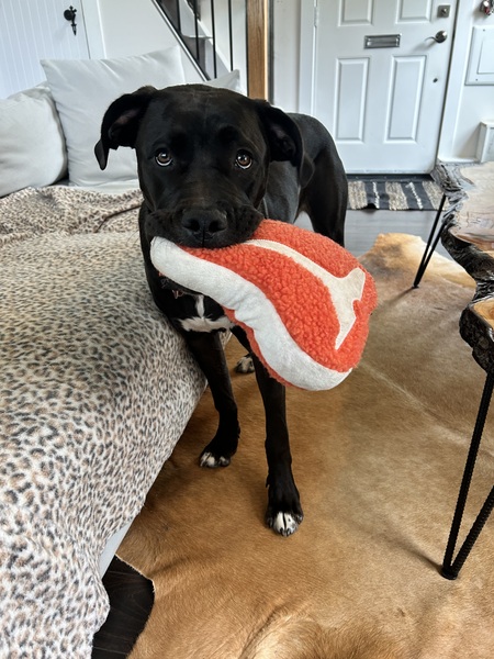 Murphy