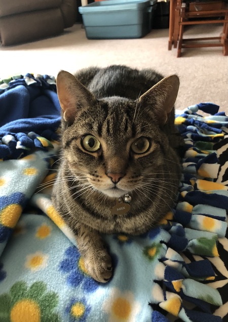Max