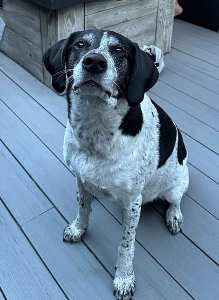 Mac