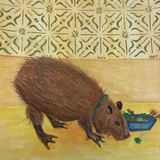 Entry image for Capybara