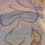 Entry image for Cat under a tree and at midnight with the moon and stars.