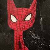Entry image for Spider cat