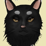 Entry image for ☆black cat☆