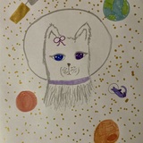 Entry image for Space cat