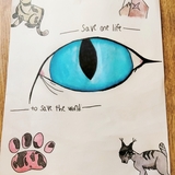 Entry image for -Save one life- -to save the world-