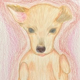 Entry image for Baby dog