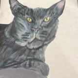 Entry image for Angry Cat
