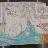 Entry image for Cozy kitties 