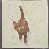 Entry image for Kitty in the field