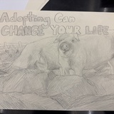 Entry image for Pig-tastic