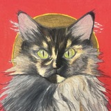 Entry image for Cookie