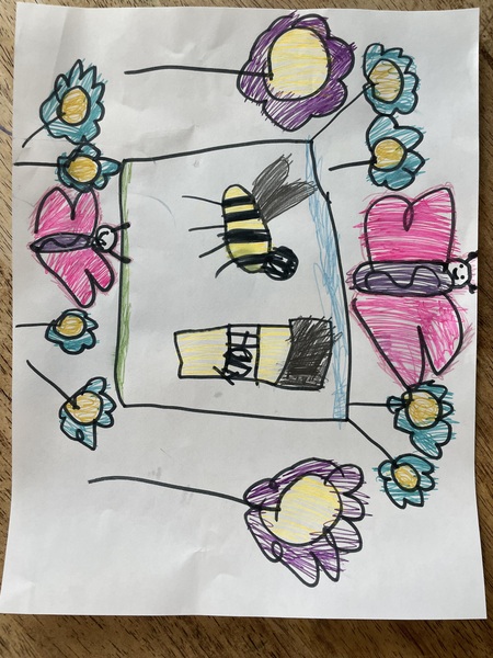 Butterflies Help Bees