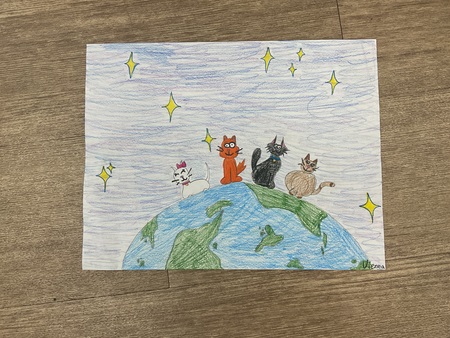 Kitties of the world 