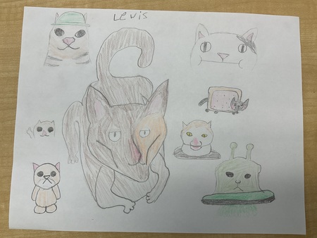 Meme cats