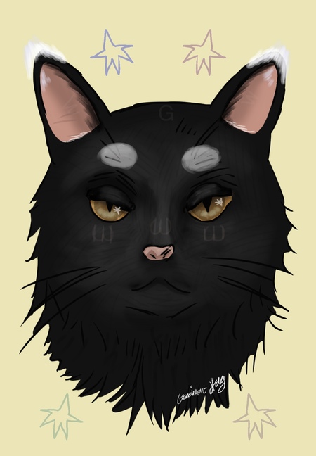 Entry image for ☆black cat☆. Clicking this image will show a larger photo