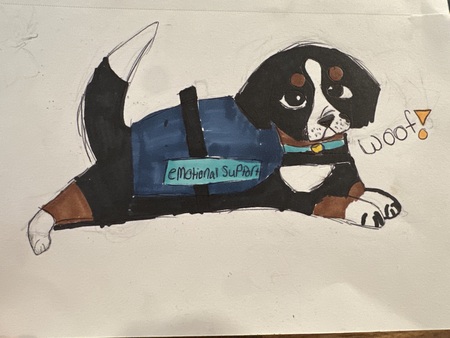 Entry image for Emotional Support friend . Clicking this image will show a larger photo