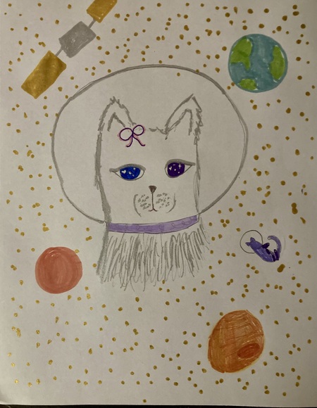 Entry image for Space cat. Clicking this image will show a larger photo