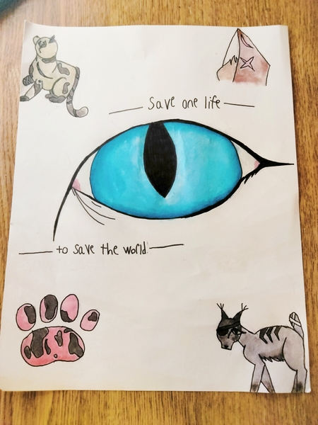 Entry image for -Save one life- -to save the world-. Clicking this image will show a larger photo