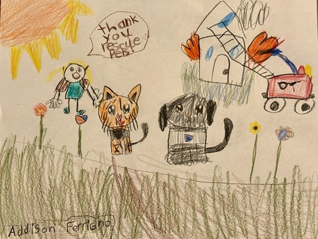 Entry image for Rescue Pets. Clicking this image will show a larger photo