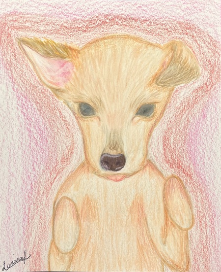 Entry image for Baby dog. Clicking this image will show a larger photo