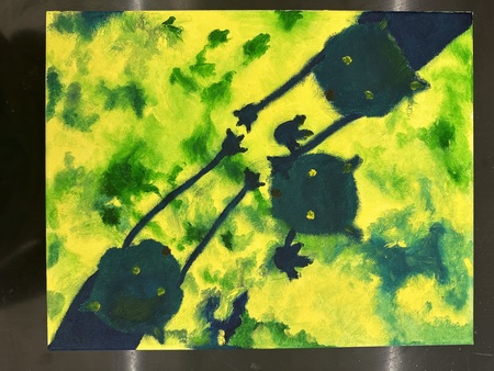 Entry image for Playing Cats. Clicking this image will show a larger photo