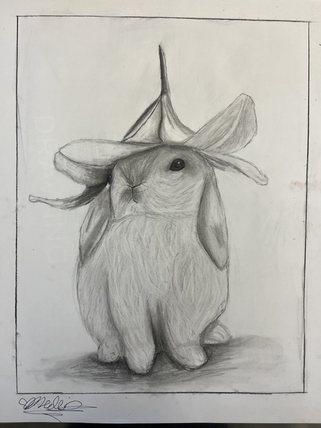 Entry image for Bunnies and lilies. Clicking this image will show a larger photo