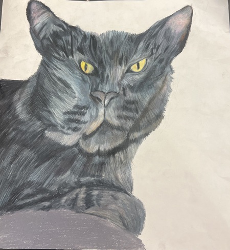 Entry image for Angry Cat. Clicking this image will show a larger photo