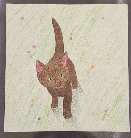 Entry image for Kitty in the field. Clicking this image will show a larger photo