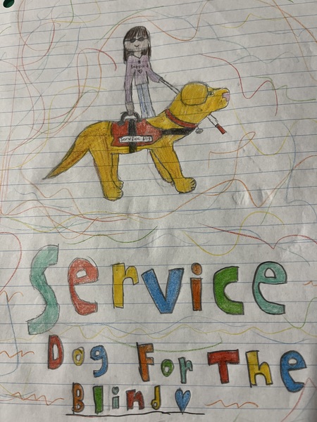 Entry image for Service Dog for the Blind . Clicking this image will show a larger photo