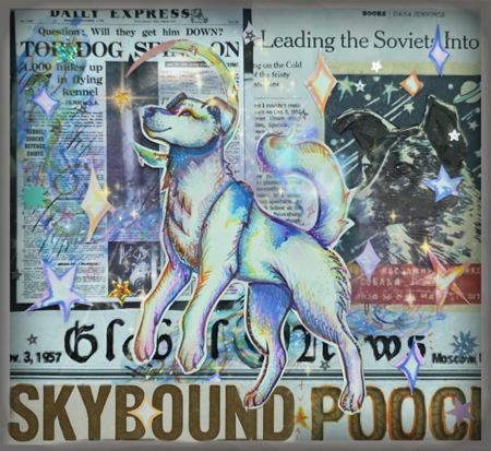 Entry image for Celestial Stray. Clicking this image will show a larger photo
