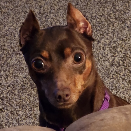 Mia