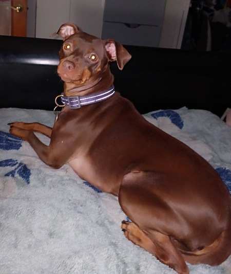 Entry image for Daizy maye. Clicking this image will show a larger photo