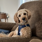 Entry image for Declan