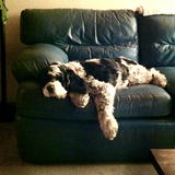 Entry image for Toba