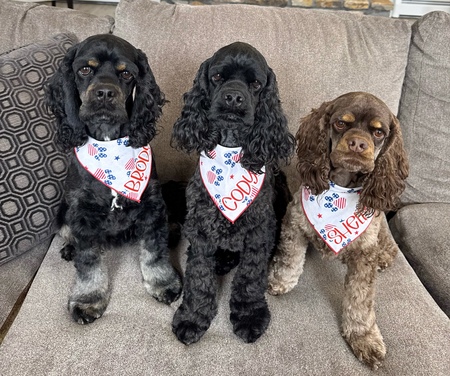 Brody, Cody & Shelby