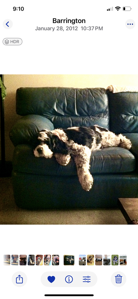 Entry image for Toba. Clicking this image will show a larger photo