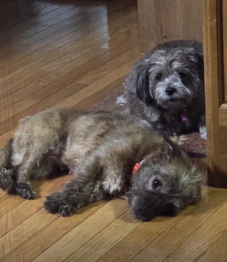 Arya and Lakelyn 