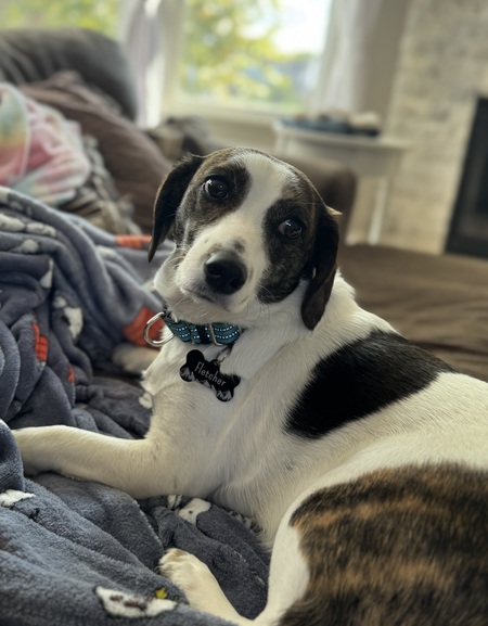 Fletcher (formerly Kris)