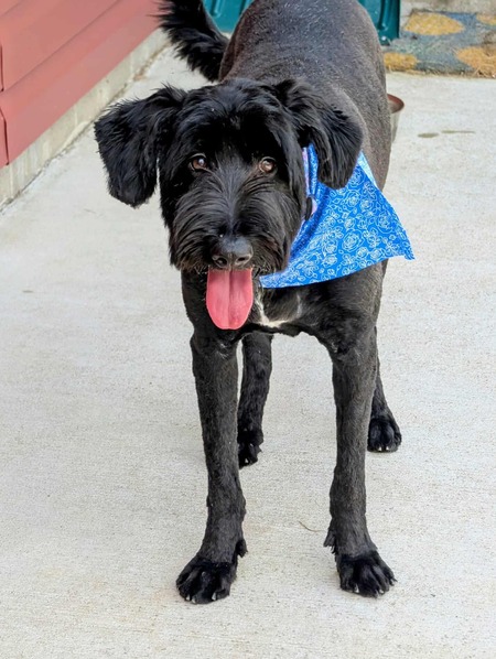 Entry image for Talley . Clicking this image will show a larger photo