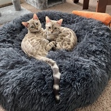 Entry image for Duke & Duchess