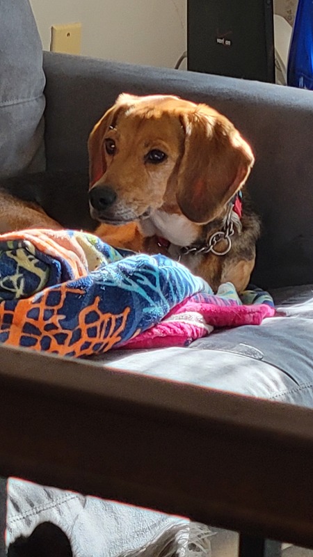 Sammy