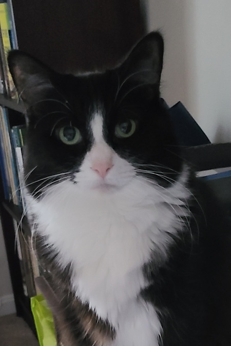 Luna (aka LuLu)